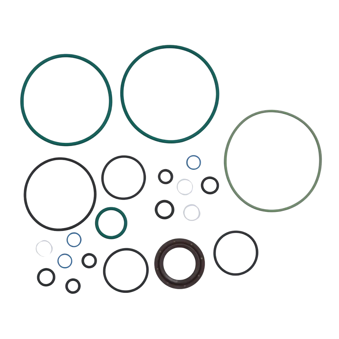 Kit de reparación para bomba Siemens VDO Fotografía